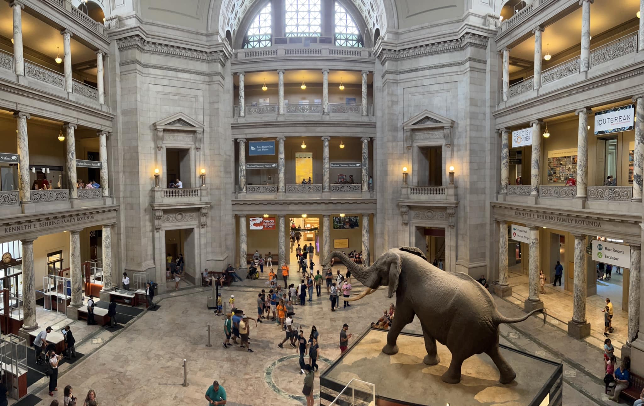 NMNH
