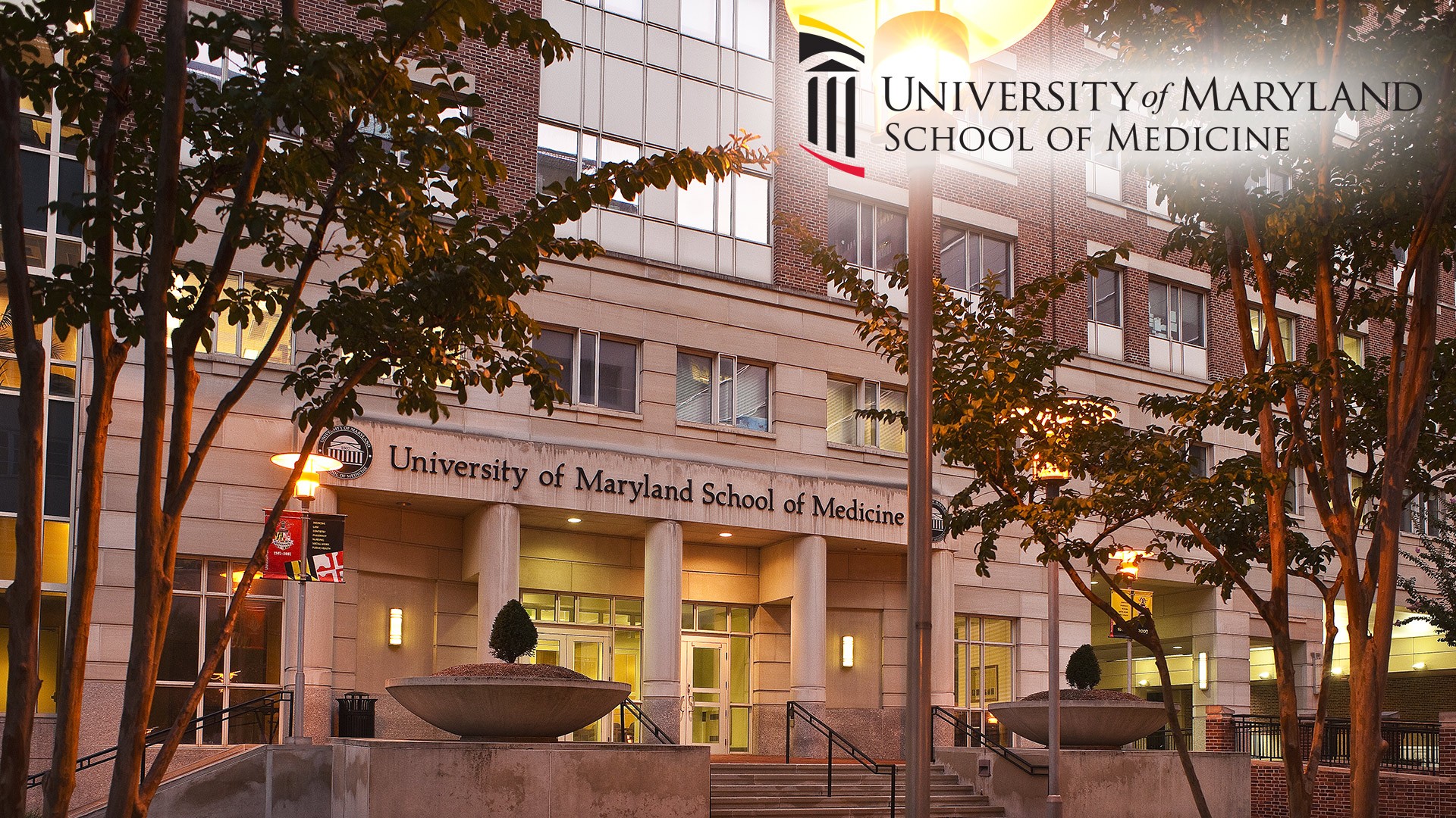 UMD Medical School